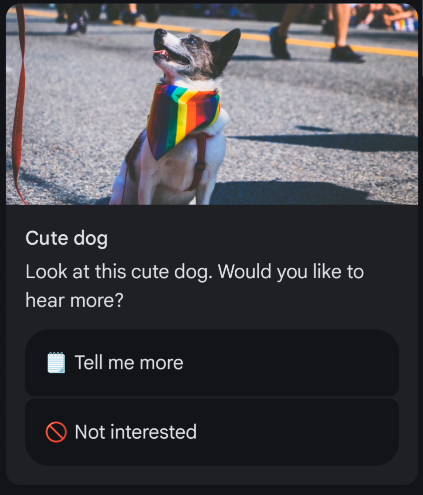 RCS Standalone Card Example